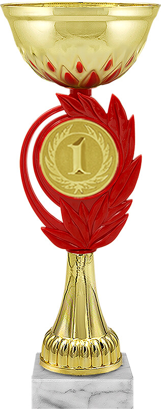 Кубок 1 место