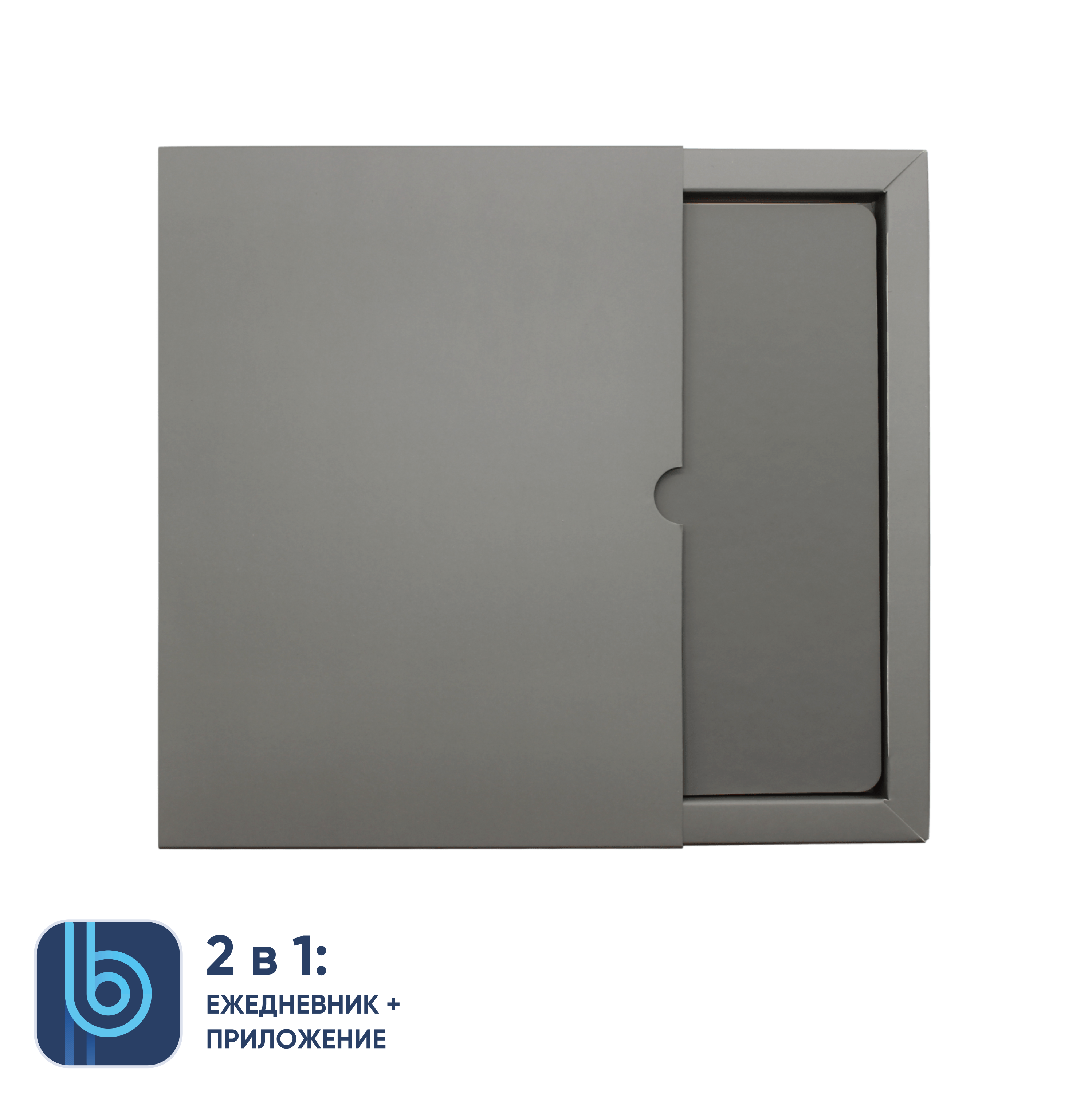 Ежедневник Bplanner.01 в подарочной коробке (серый)