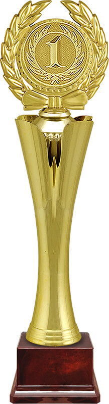 Награда 1 место Награда 1 место