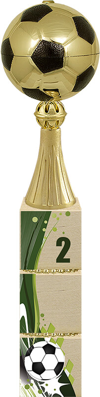 Кубок Вингер 2 место