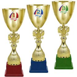 Кубок Престиж 3 место