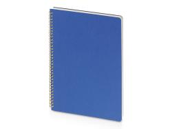 Бизнес тетрадь на гребне А4 Pragmatic, 100 листов в клетку, синий