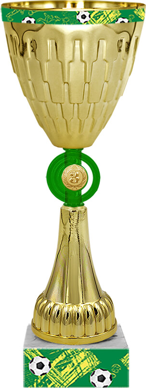 Кубок Ривелино 3 место