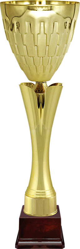 Кубок Цитрон