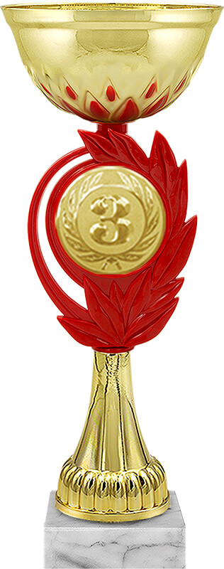 Кубок 3 место