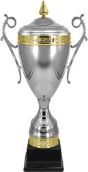 Кубок Амур Кубок Амур