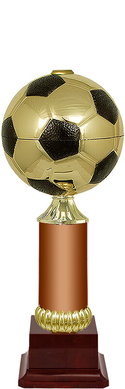 Кубок Хави (под бронзу)