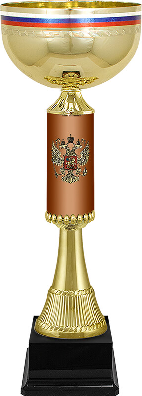 Кубок Артек