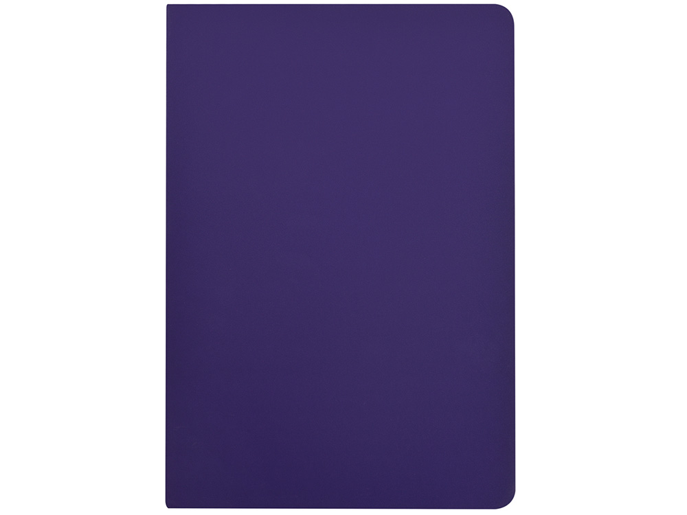 Бизнес-тетрадь А5 Pragmatic Contrast, 40 листов в клетку, фиолетовый с салатовым срезом