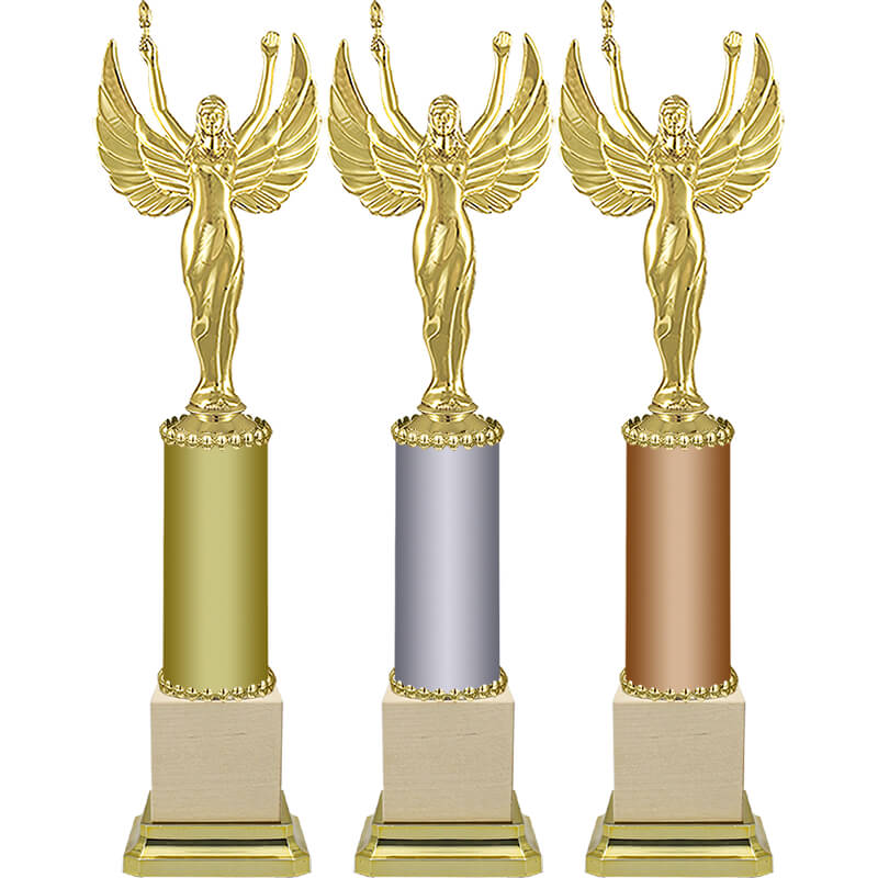 Награда с никой (серебро)