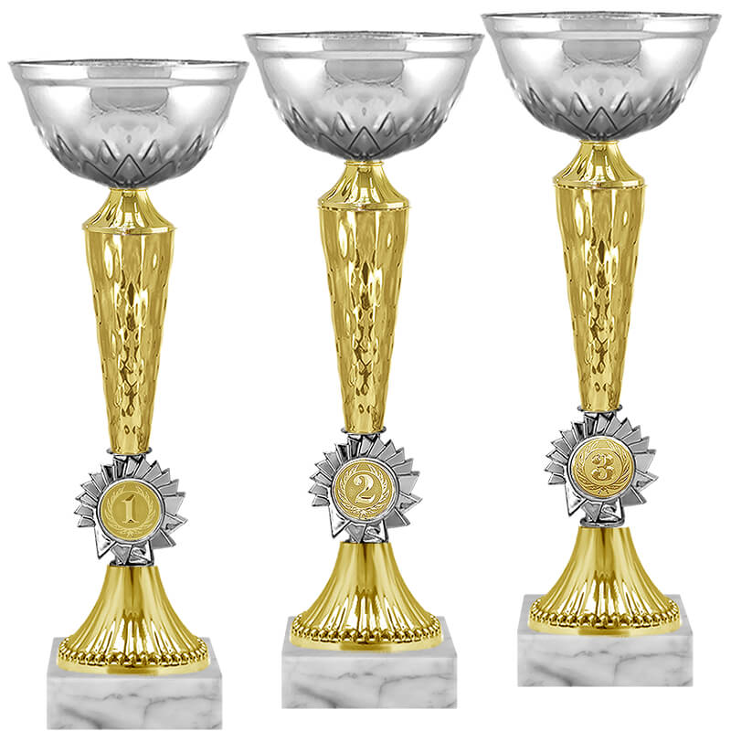 Кубок Гриф 3 место Кубок Гриф 3 место