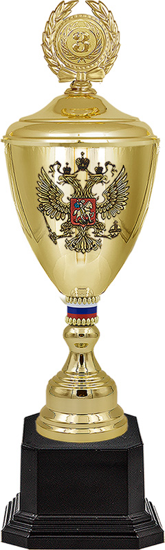 Кубок Атаман 3 место