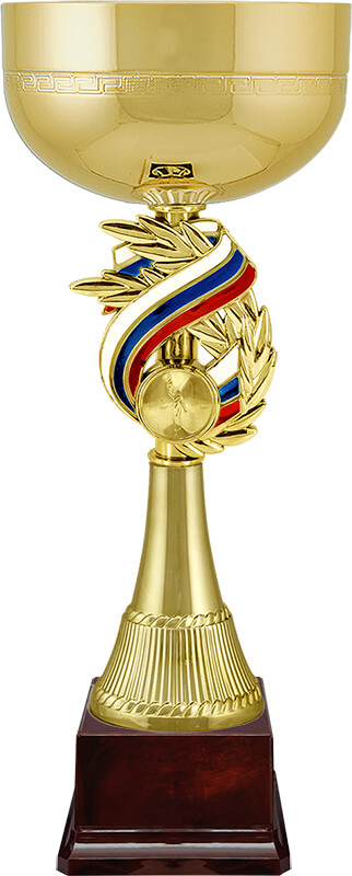 Кубок Патриот