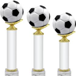 Награда Торрес