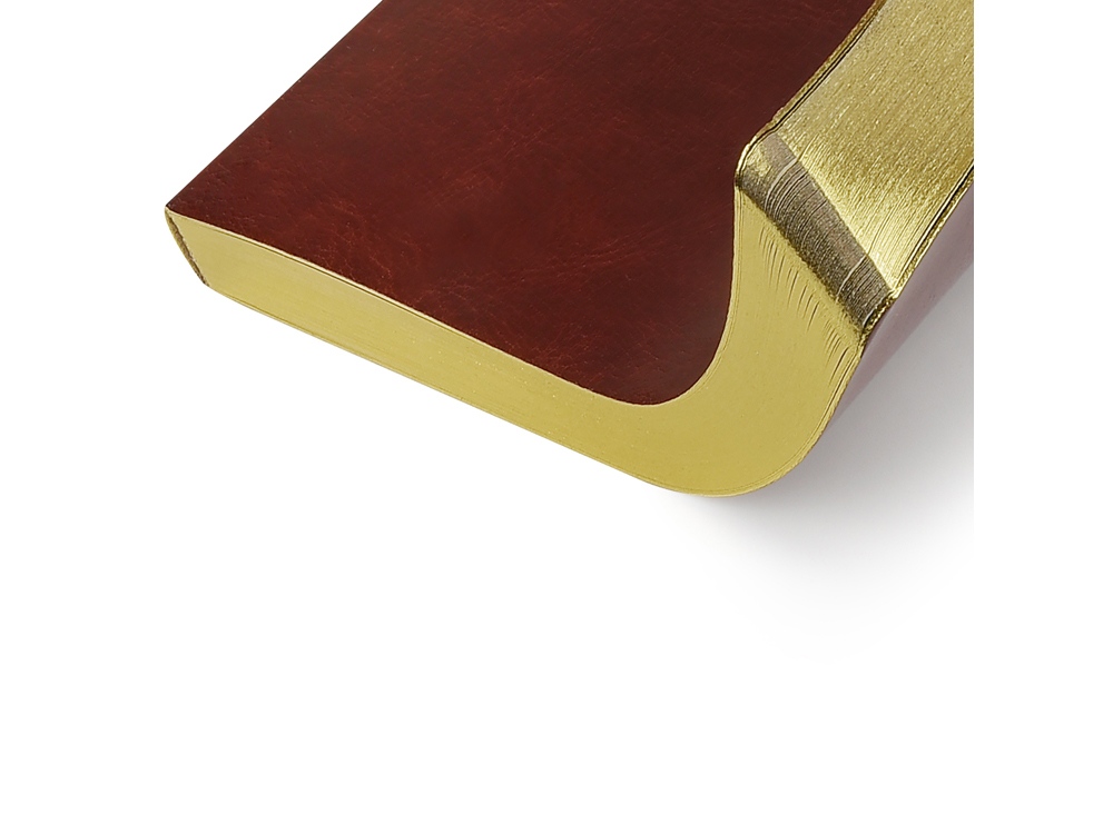 Ежедневник недатированный А5 Megapolis Nebraska Flex, коричневый с золотым обрезом