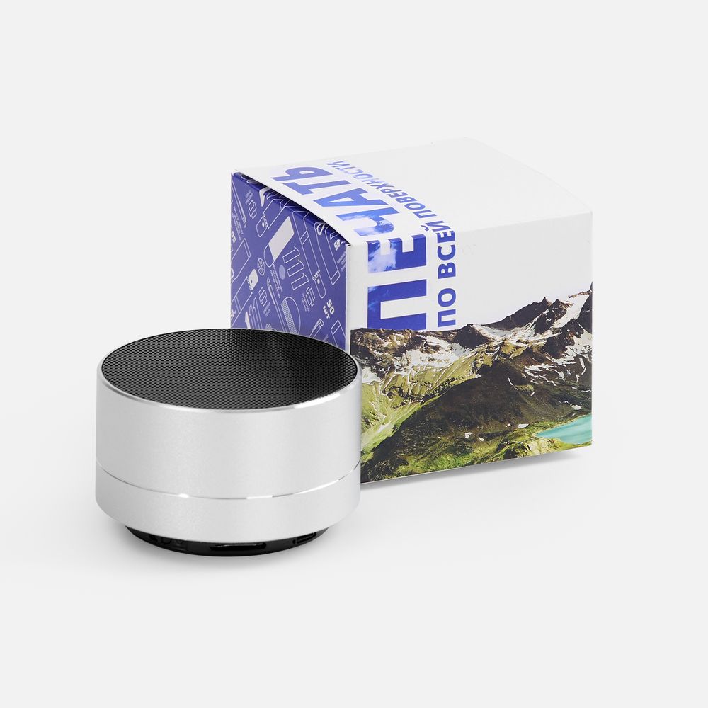 Коробка с полноцветной печатью для колонки Easy