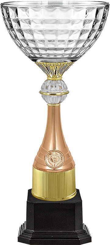 Кубок Ньютон