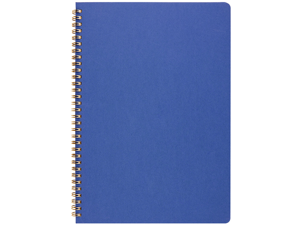 Бизнес тетрадь на гребне А4 Pragmatic, 100 листов в клетку, синий