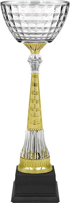 Кубок Катарина (под золото)