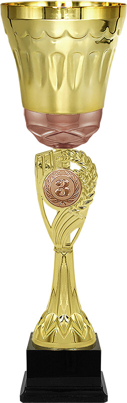 Кубок Эрнест 3 место