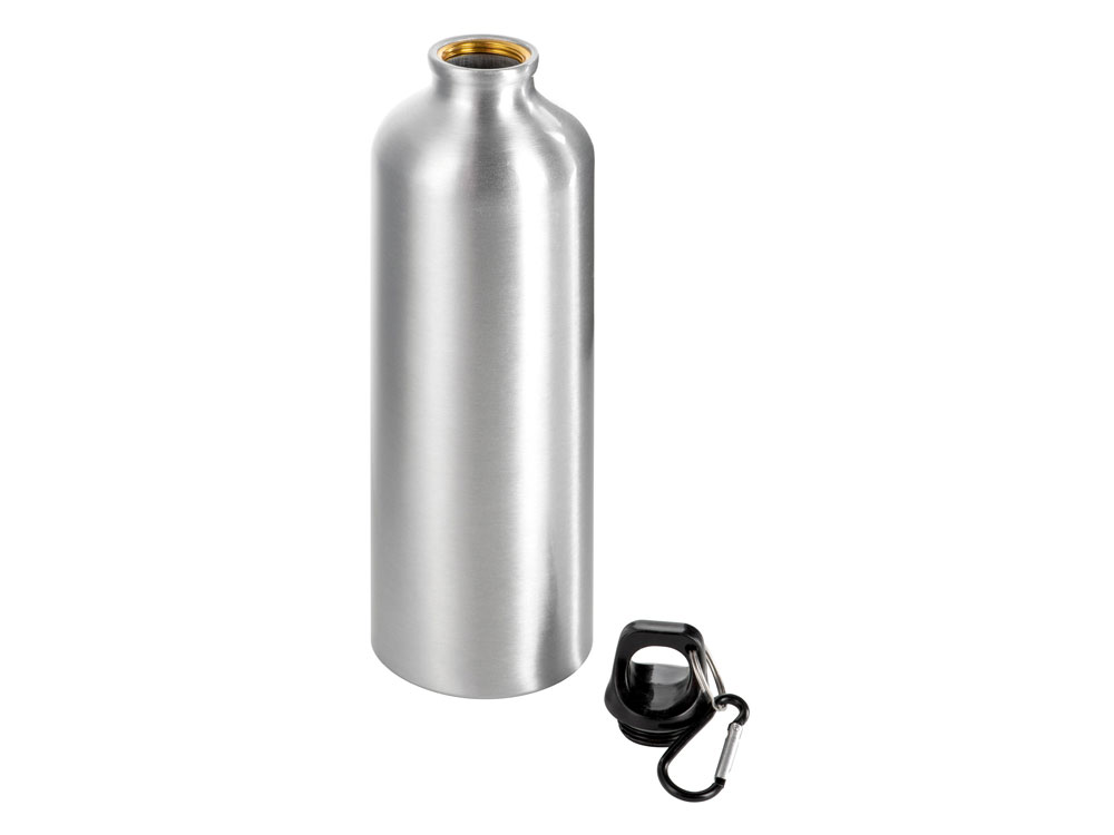 Бутылка Hip M с карабином, 770 мл, серебристый (Р) Бутылка Hip M с карабином, 770 мл, серебристый (Р)