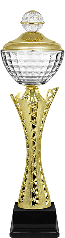 Кубок Карина