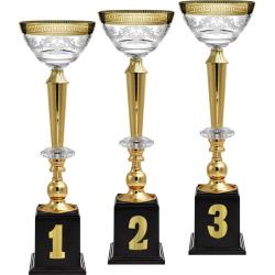 Кубок Эллея 3 место Кубок Эллея 3 место