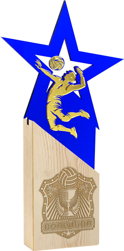 Награда волейбол