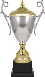 Кубок Самрат (серебро)