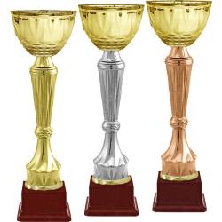 Кубок Бухер Кубок Бухер