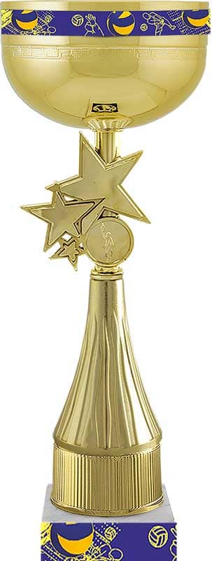 Кубок Сектор (баскетбол)