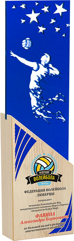 Акриловая награда с УФ печатью волейбол