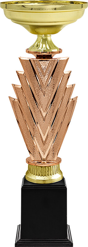 Кубок-награда Франт (под бронзу)