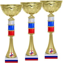 Кубок Капитон 3 место