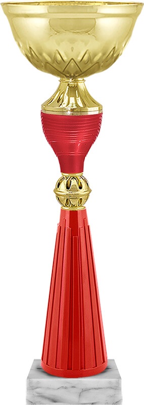 Кубок Юниор Кубок Юниор