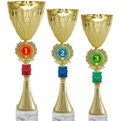 Кубок Радослав 1 место