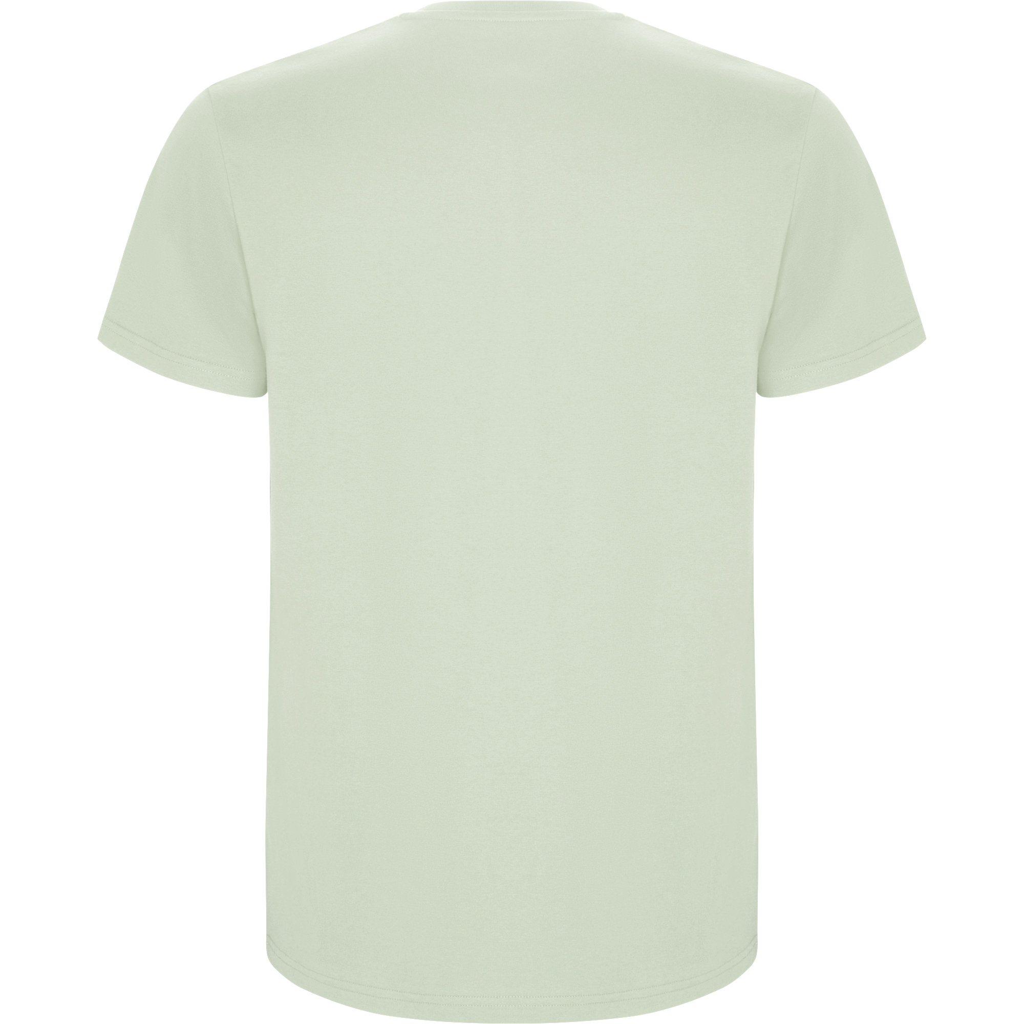 Футболка детская STAFFORD, ТУМАННО-ЗЕЛЕНЫЙ 9/10