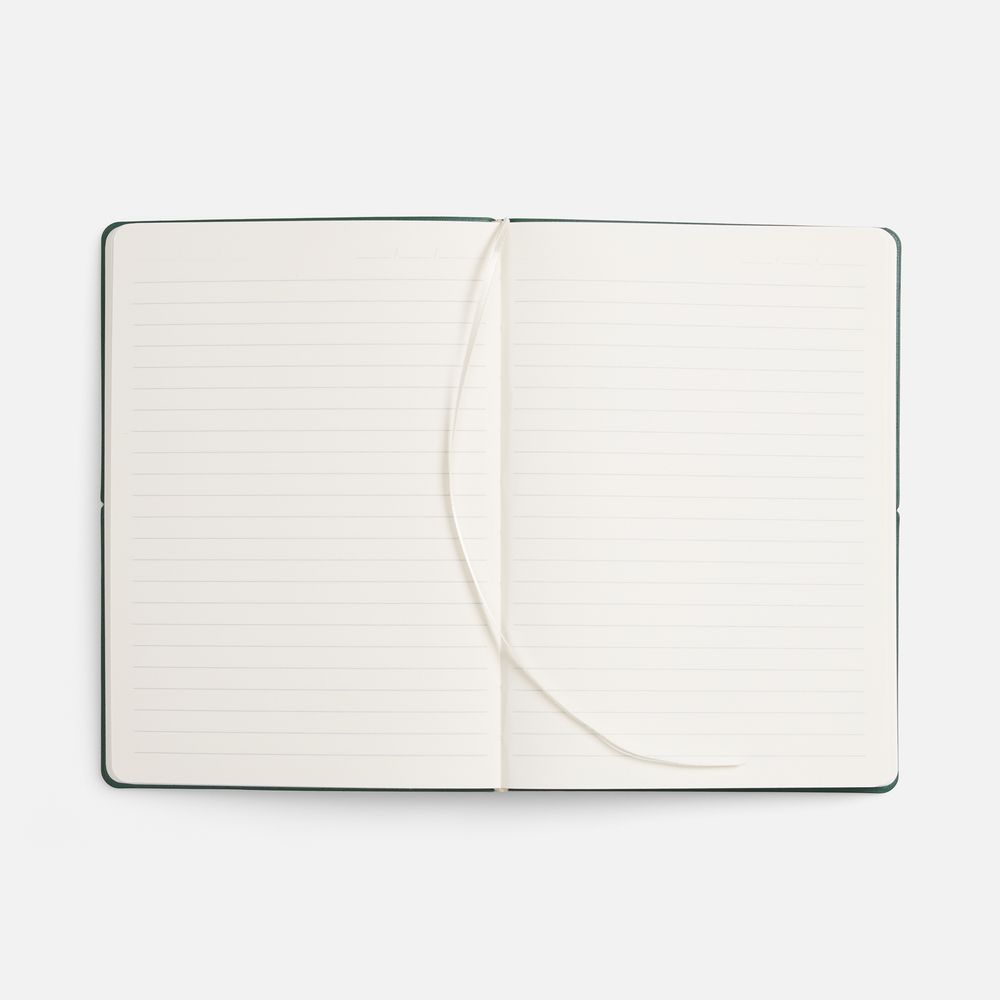 Ежедневник Kuka, недатированный, светло-зеленый