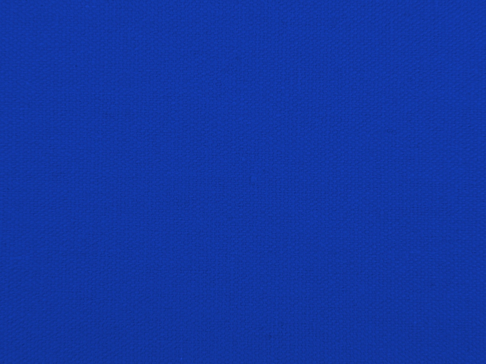 Сумка для шопинга Steady из хлопка с парусиновыми ручками, 260 г/м2, синий