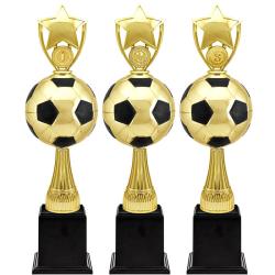 Награда-кубок Рауль 3 место Награда-кубок Рауль 3 место