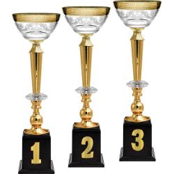 Кубок Эллея 3 место