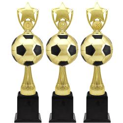 Награда-кубок Рауль 3 место