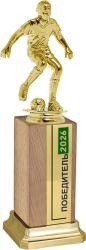 Награда Футболист на деревянном бруске Награда Футболист на деревянном бруске