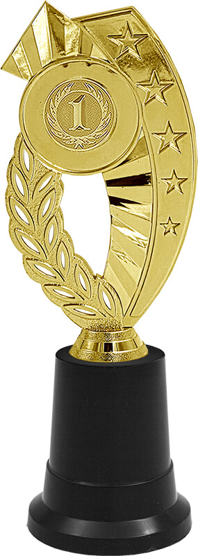 Награда 1 место