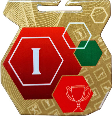 Медаль Архимед I место Медаль Архимед I место