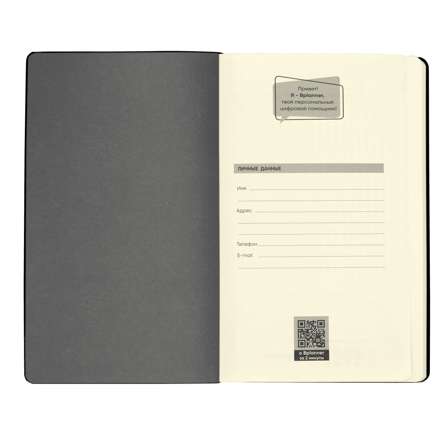 Бизнес-блокнот Bplanner.05 (серый)