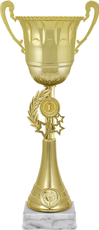 Кубок Ойла 1 место Кубок Ойла 1 место