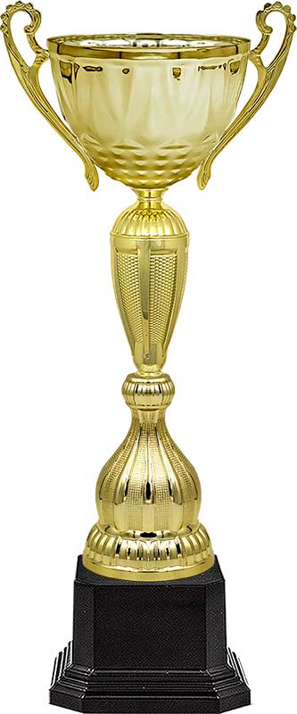 Кубок Рамиль Кубок Рамиль