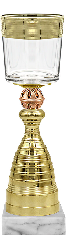 Кубок Бьёрн (под бронзу)