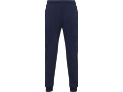 Брюки спортивные Rodas мужские, синий нэйви